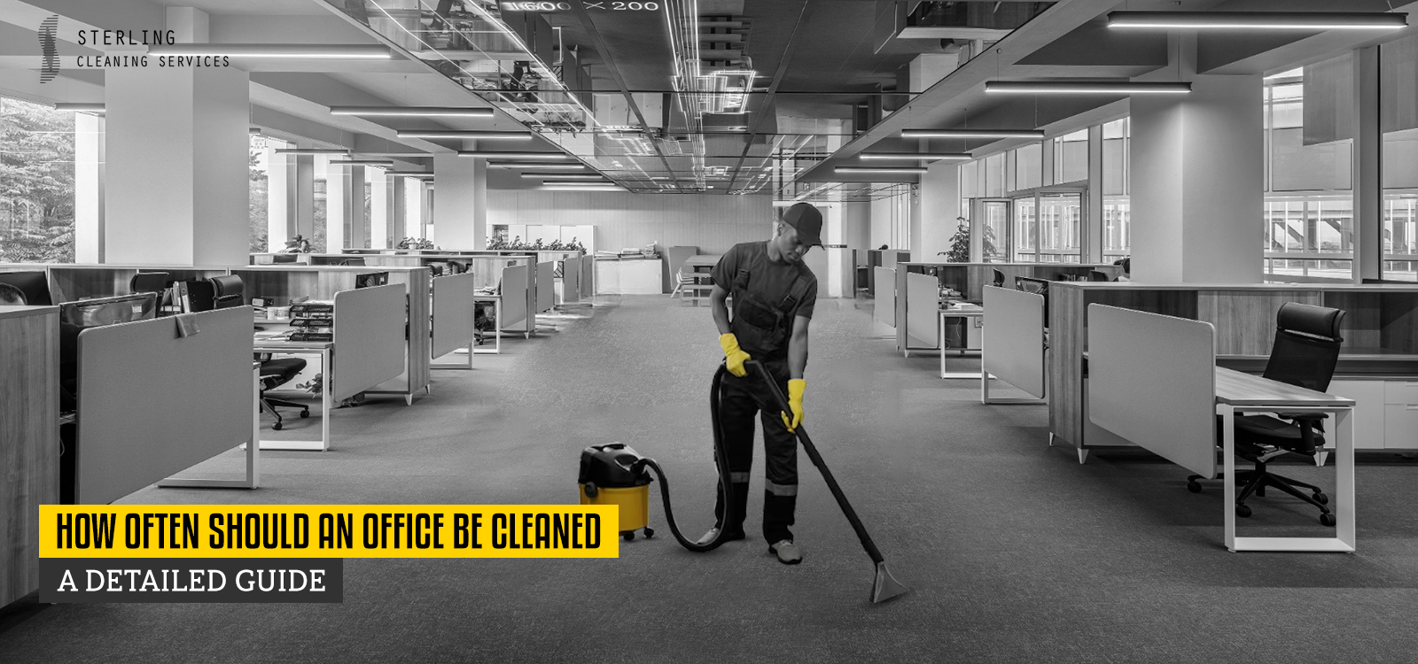 How Often Should an Office Be Cleaned