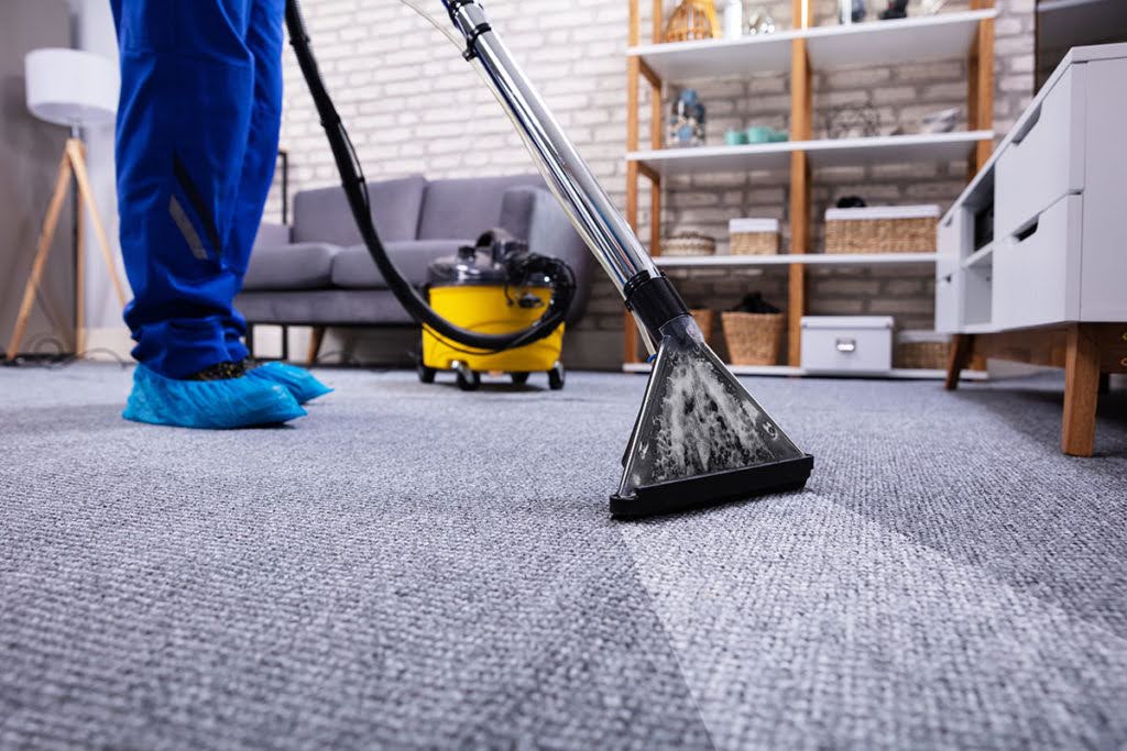 How to Clean House Carpet